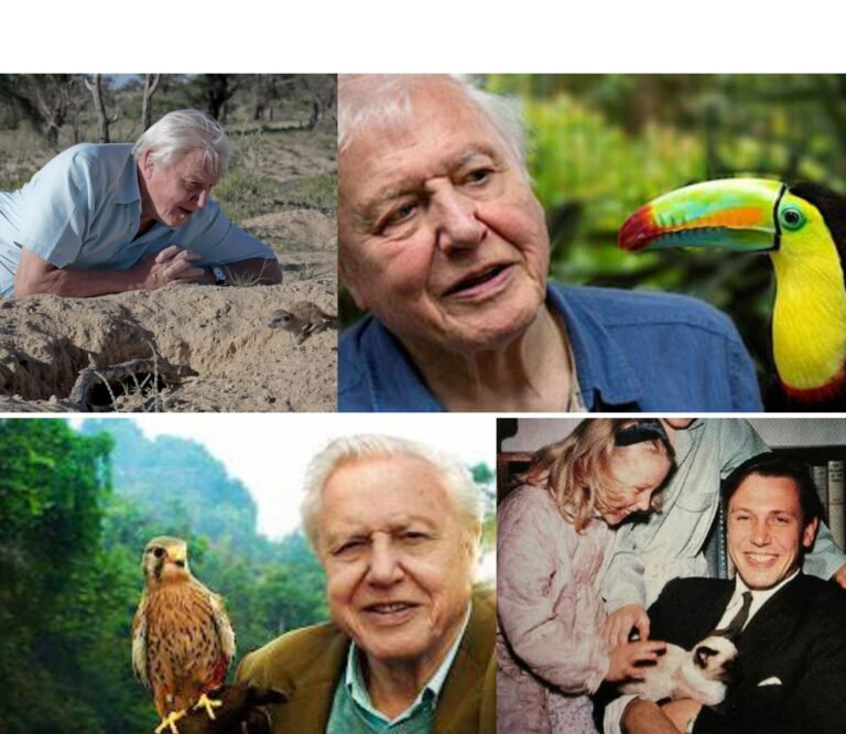 A Devoted Man To The Nature: Sir David Attenborough[An Original Article with best videos]